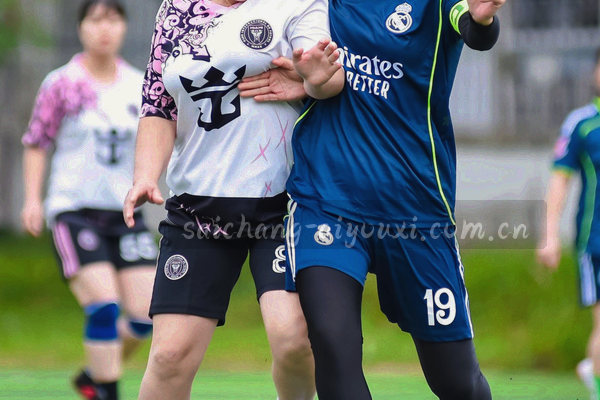 积分榜界面展示多赛事排名数据